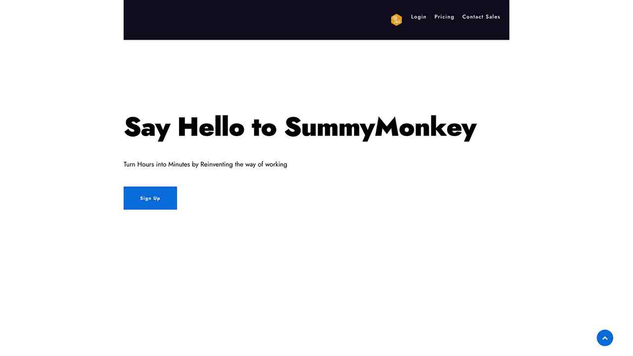 SummyMonkey